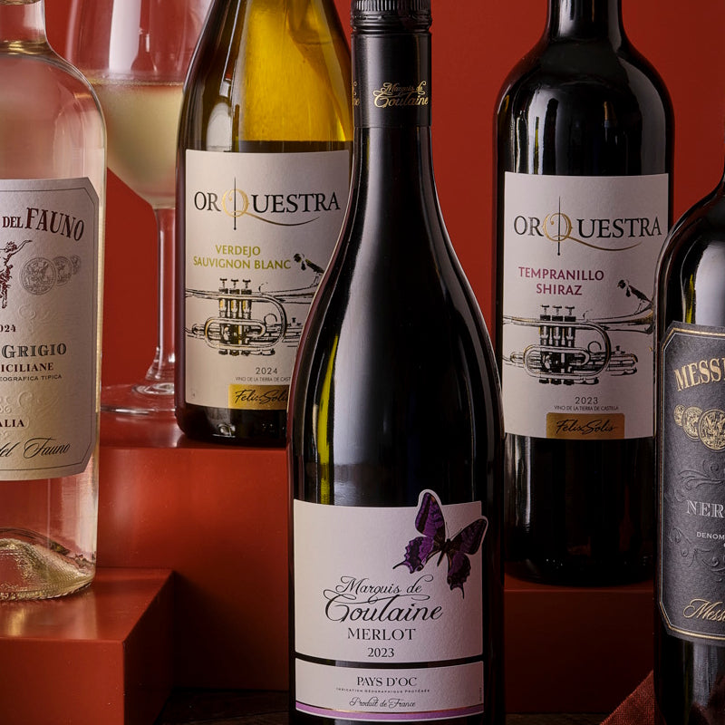 Collection of wine bottles with labels on a red background